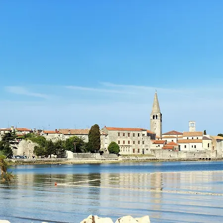 Διαμέρισμα Mip *