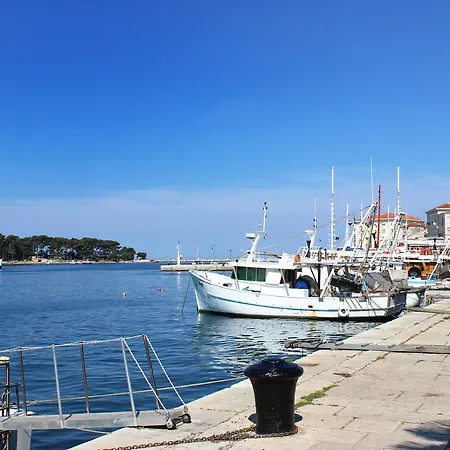 Mip Porec